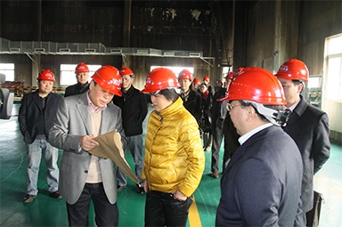2012年1月31日，時(shí)任嘉興市委書記魯俊率領(lǐng)市發(fā)改委等市級(jí)部門負(fù)責(zé)人到公司調(diào)研